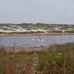 Del Ginepro Casa de Férias Funtana Meiga