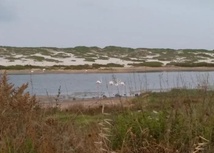 Del Ginepro Vakantiehuis Funtana Meiga